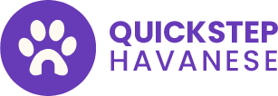 Quickstep Havanese